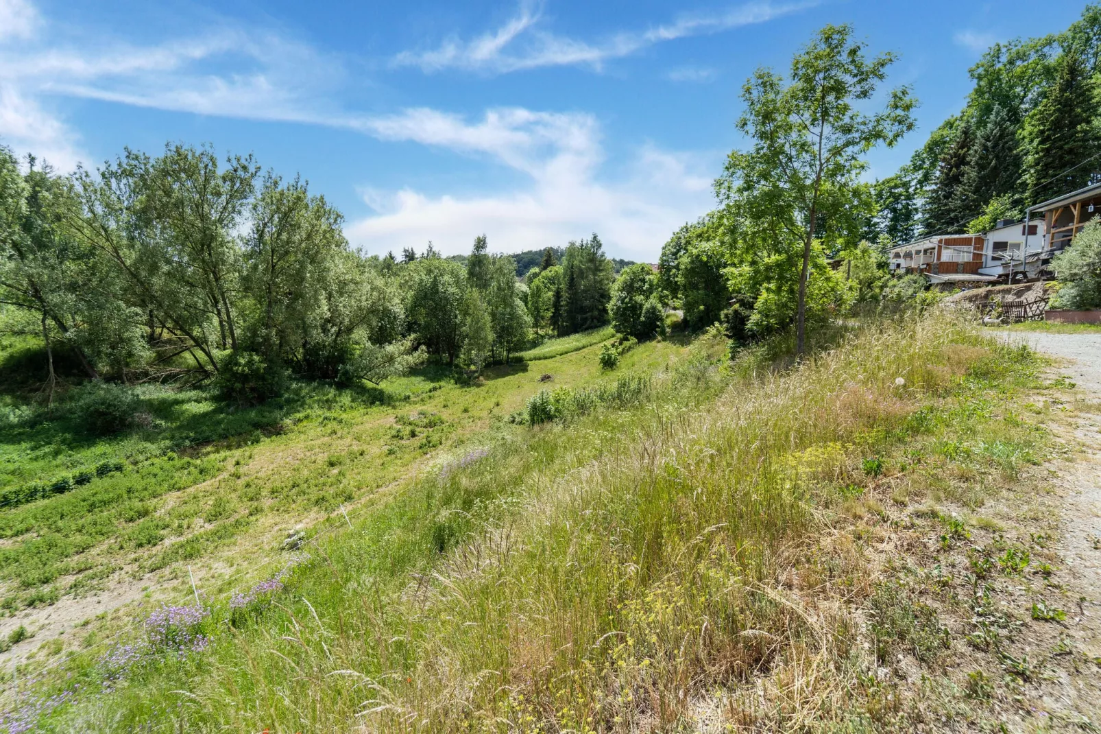 Panoramablick-Uitzicht zomer