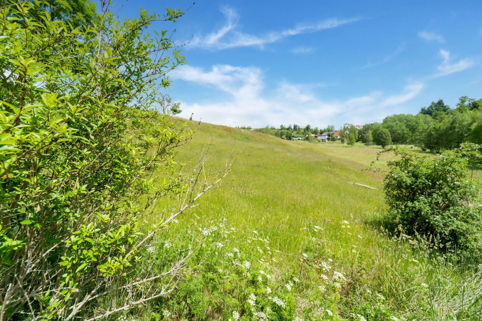 Panoramablick-Gebieden zomer 1km