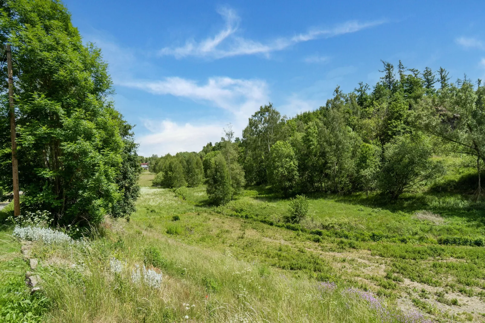 Panoramablick-Gebieden zomer 1km