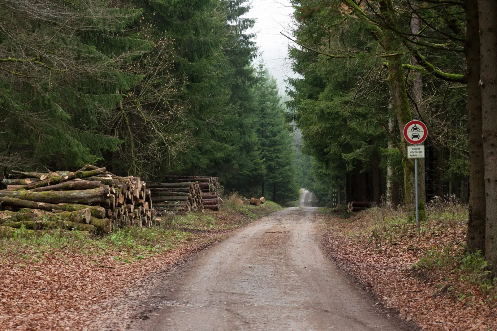 Im Bodetal-Gebieden zomer 5km