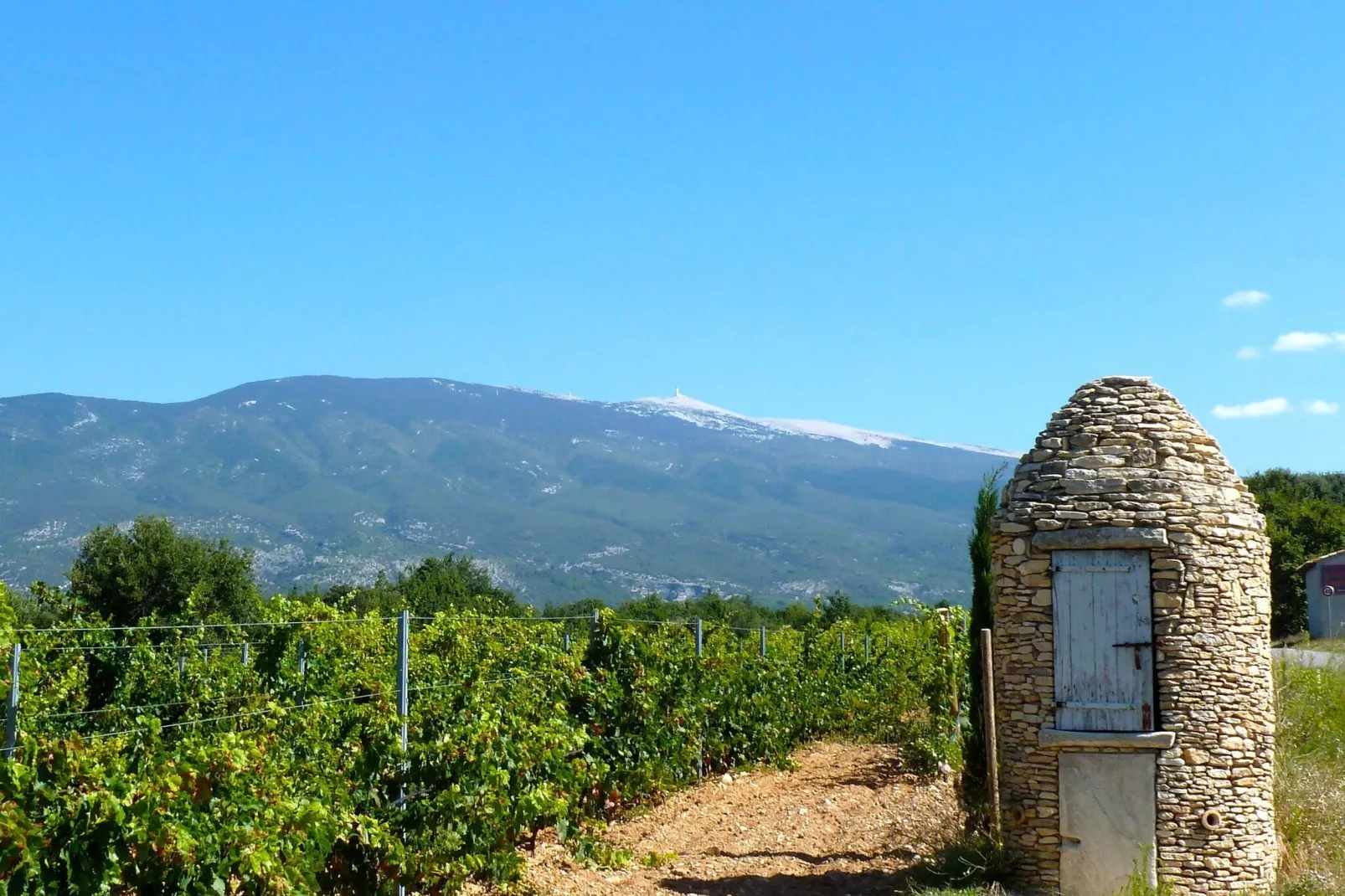 Ferienhaus in Vaison-la-Romaine-Gebieden zomer 20km