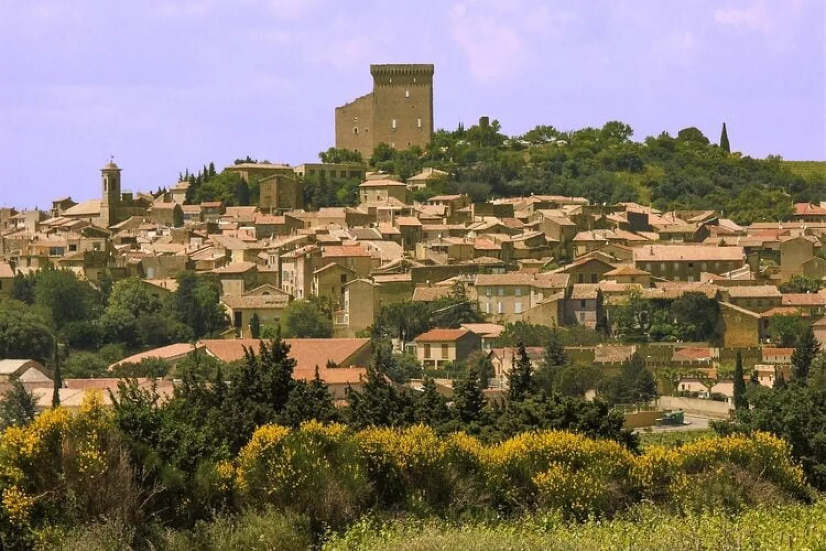 Ferienhaus in Vaison-la-Romaine-Gebieden zomer 20km