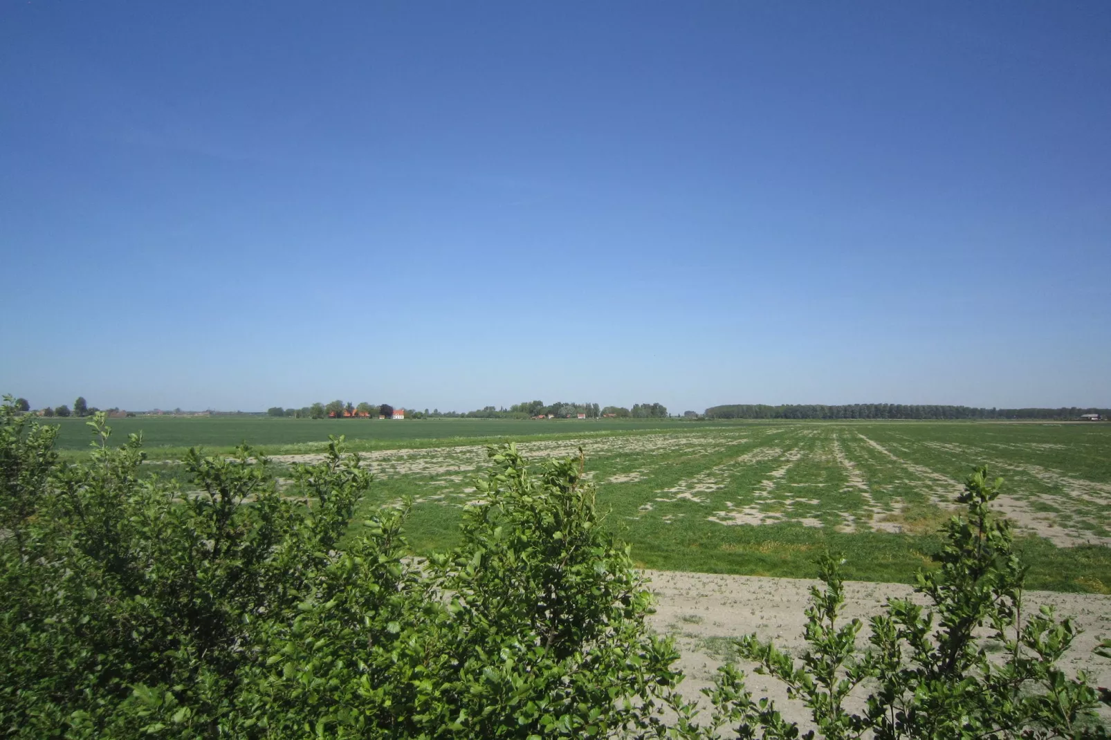 Klein Hof ter Zand-Uitzicht zomer