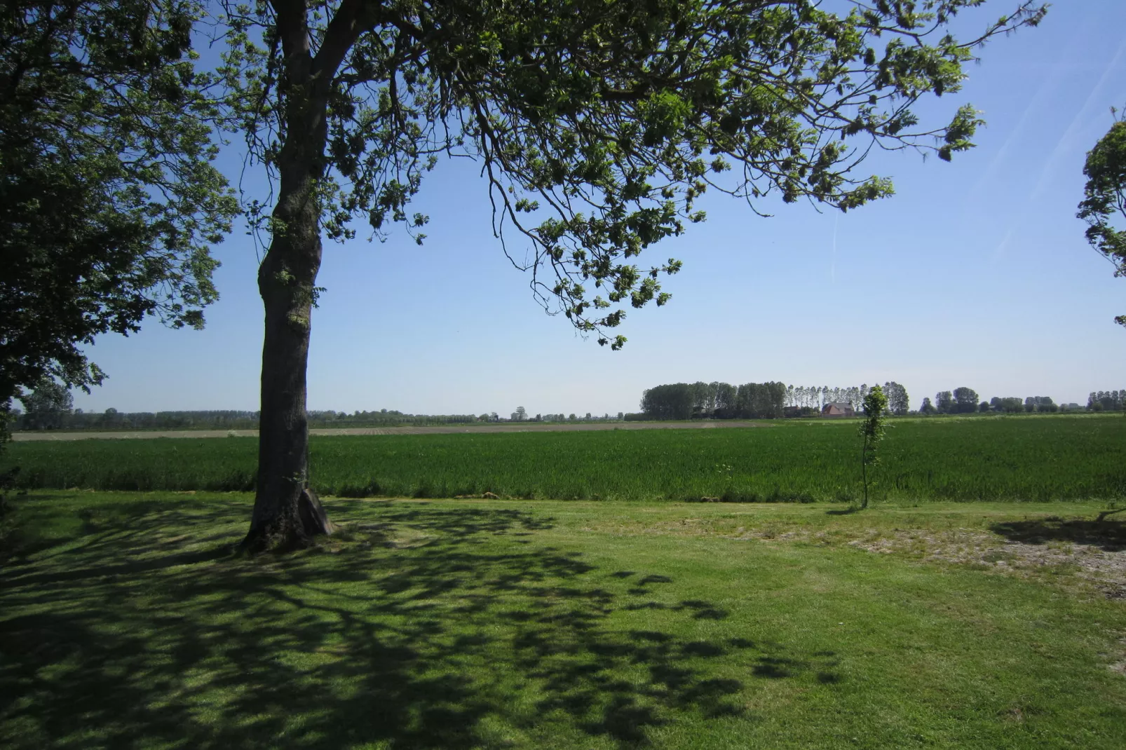 Klein Hof ter Zand-Tuinen zomer