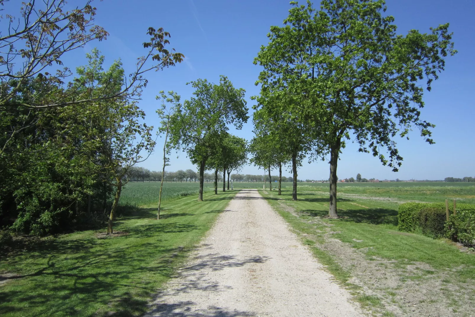 Klein Hof ter Zand-Gebieden zomer 1km