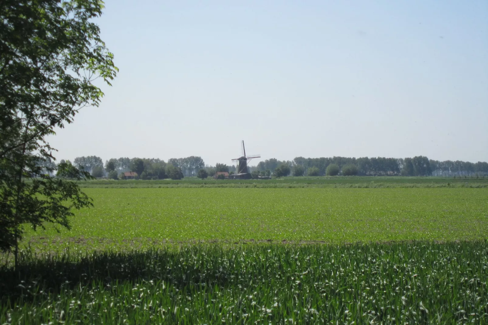 Klein Hof ter Zand-Gebieden zomer 1km