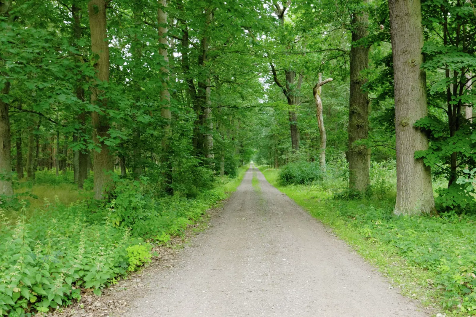 Fürstenwalde Spree-Gebieden zomer 5km