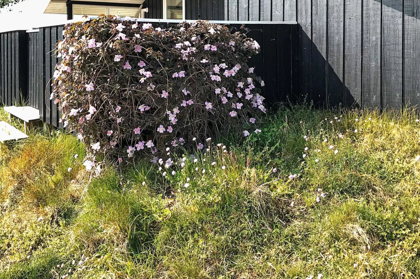 5 persoons vakantie huis in Blåvand-Buitenlucht