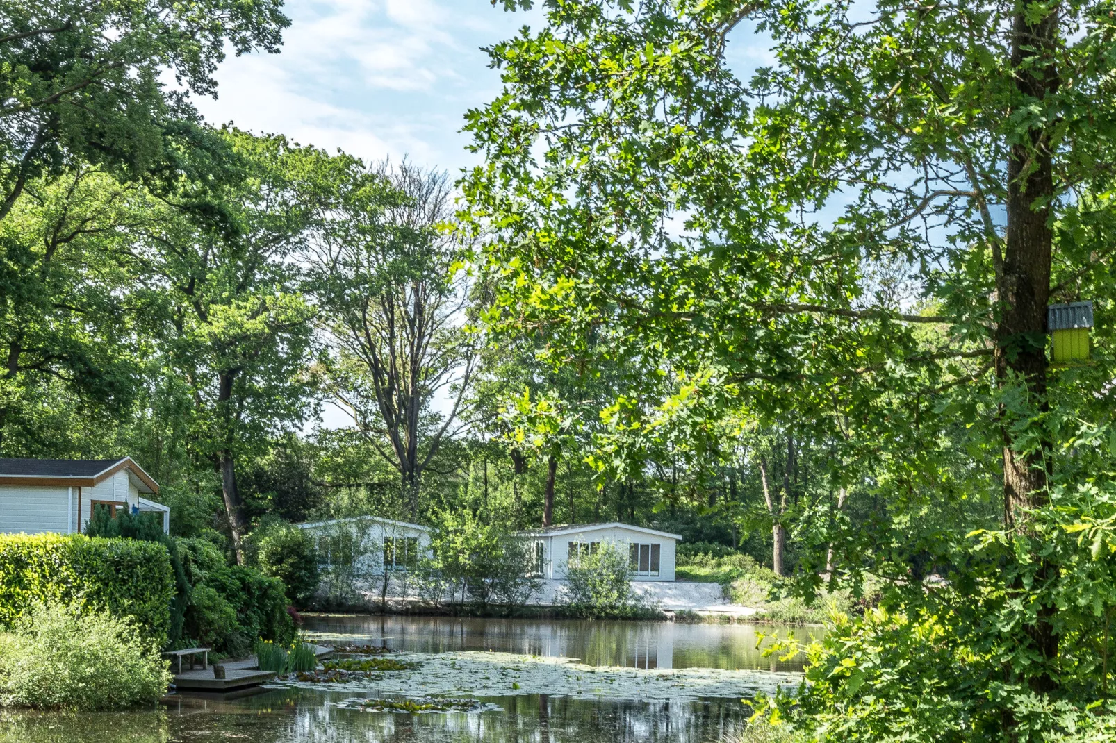 Residence De Eese 23-Buitenkant zomer