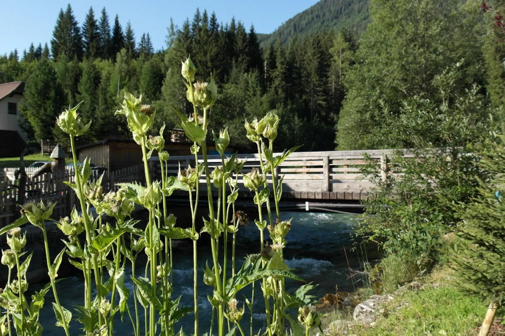 Chalet Hammerweg-Gebieden zomer 1km