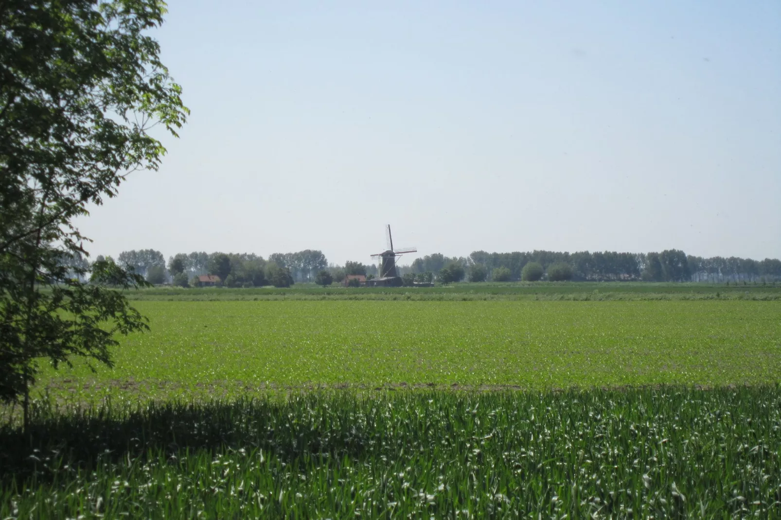 Groot Hof ter Zand-Gebieden zomer 1km