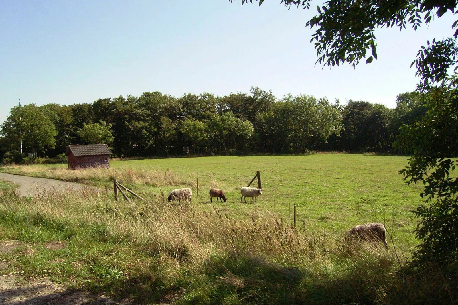 4 persoons vakantie huis in Aakirkeby