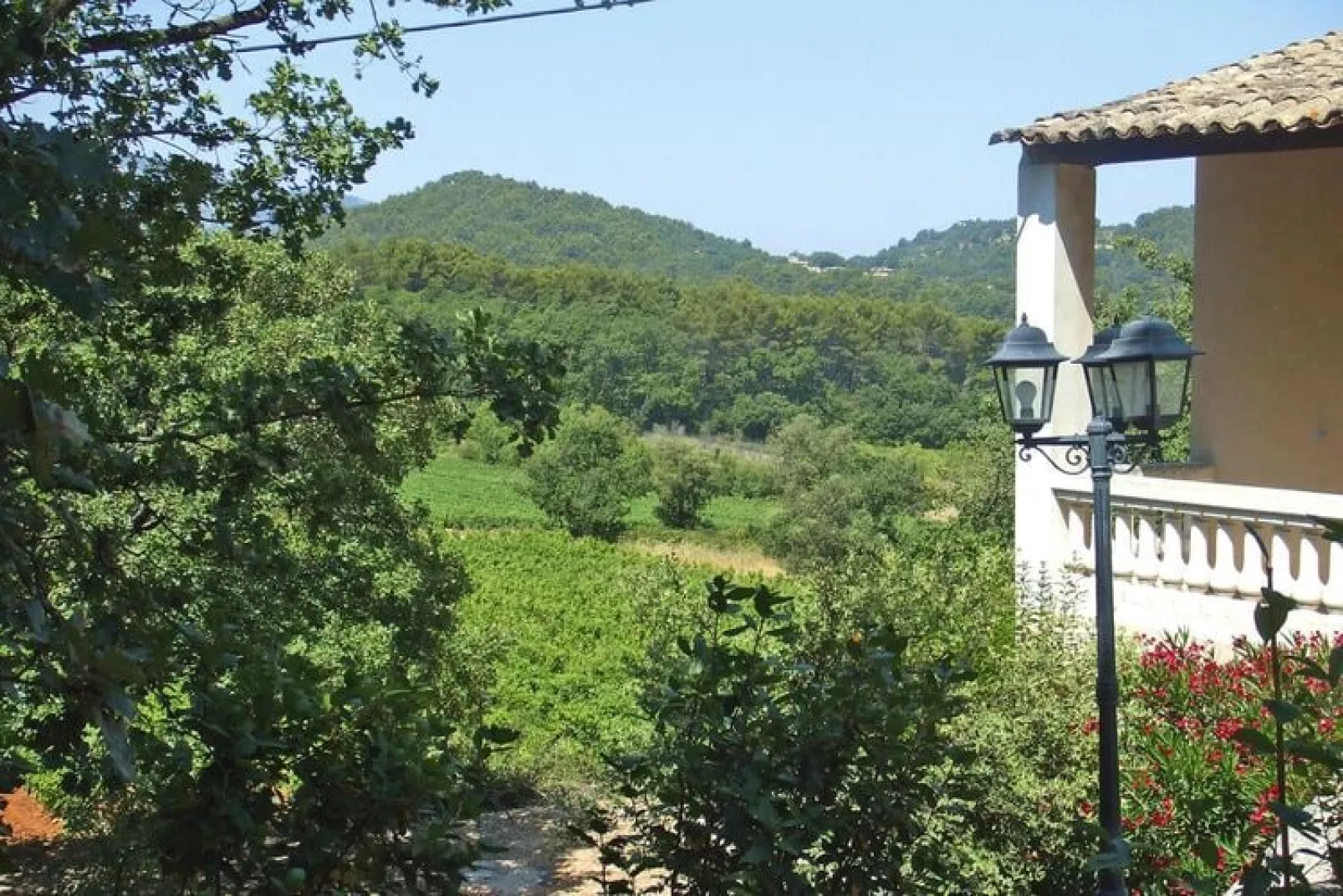 Ferienhaus in Ménerbes-Uitzicht zomer