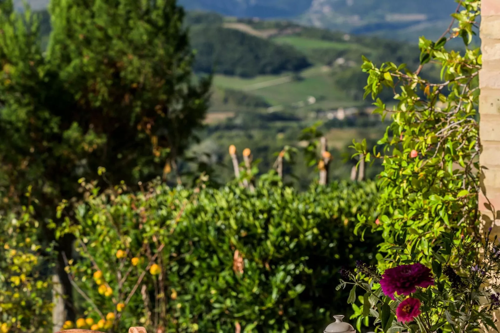 Il Vettore nei monti Sibillini-Tuinen zomer