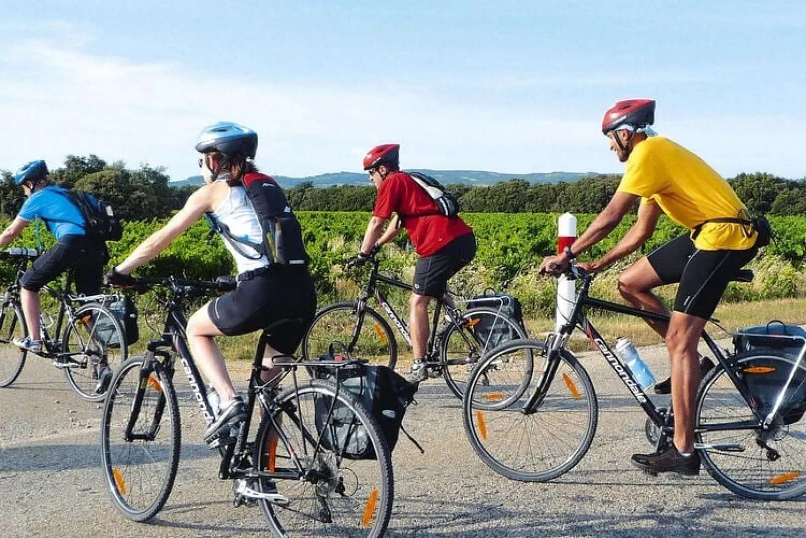 Ferienwohnung in Caderousse-Gebieden zomer 5km