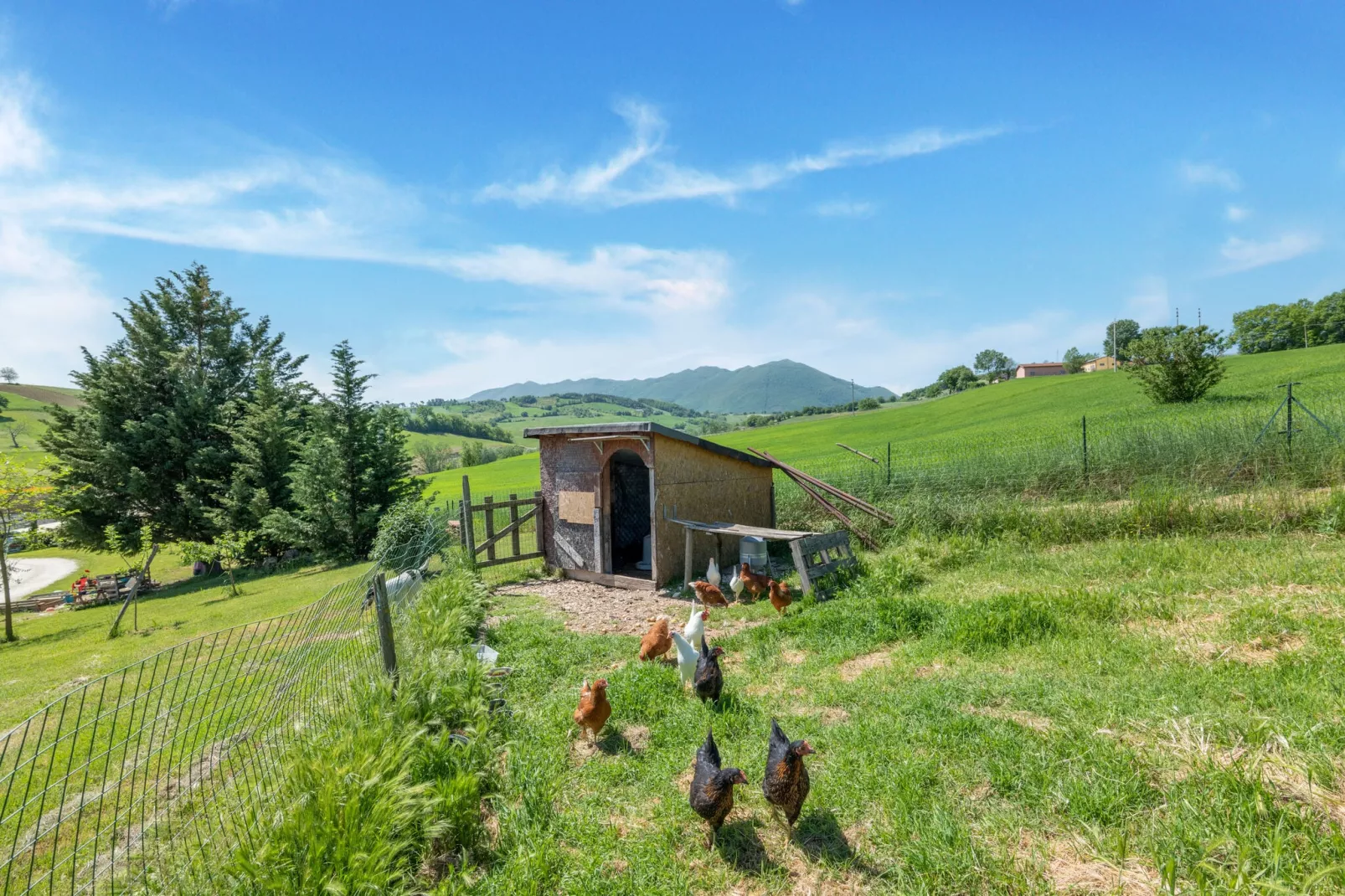 La Casa del Verdicchio-Tuinen zomer