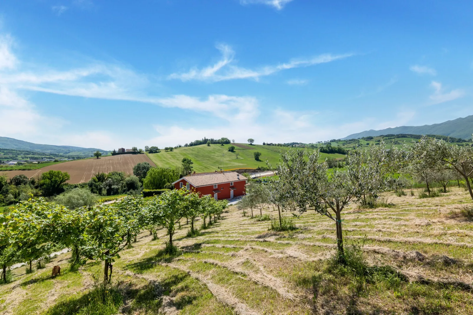 La Casa del Verdicchio-Gebieden zomer 5km