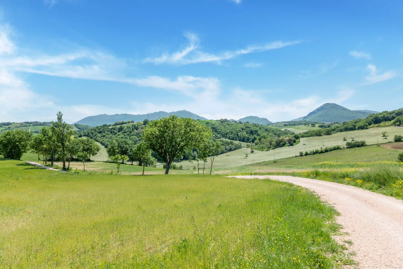 La Casa del Verdicchio-Gebieden zomer 5km