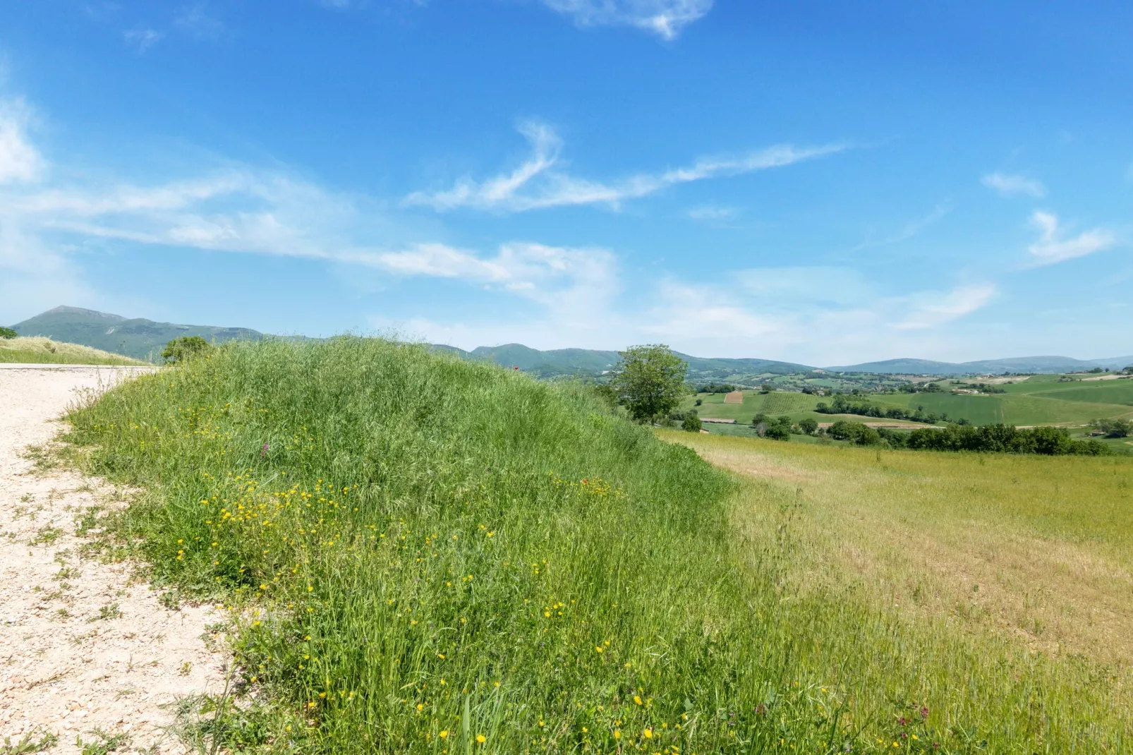 La Casa del Verdicchio-Gebieden zomer 5km