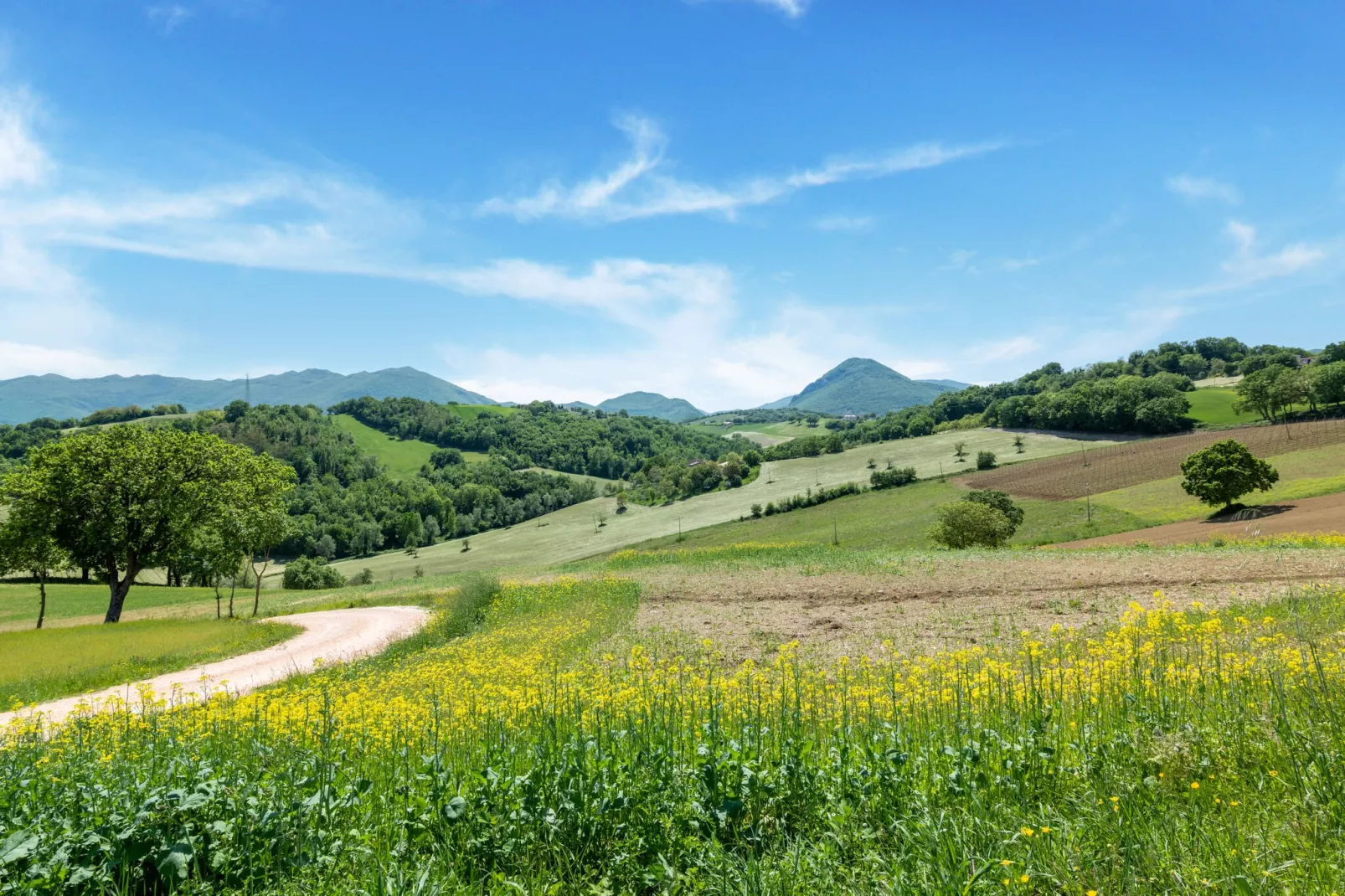 La Casa del Verdicchio-Gebieden zomer 5km