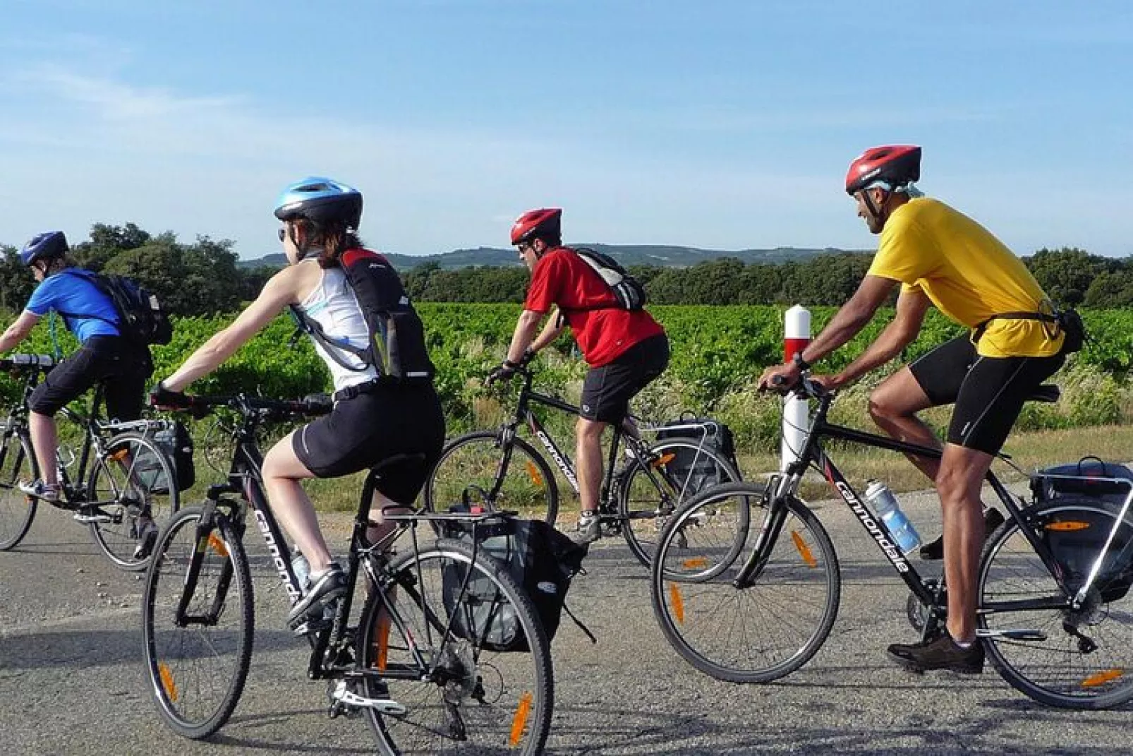 Ferienhaus in Roaix-Gebieden zomer 5km