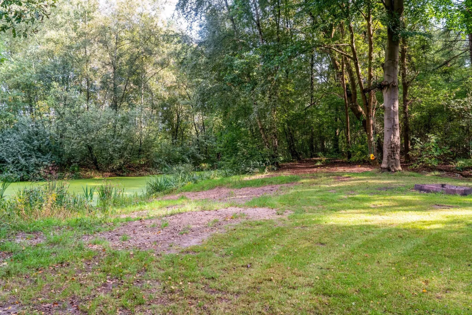 Het Boshuisje-Uitzicht zomer