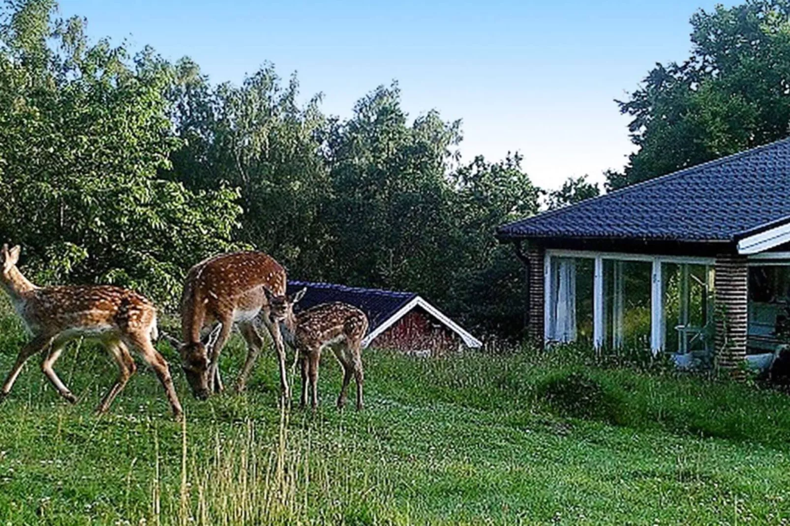 4 persoons vakantie huis in VEBERÖD-Buitenlucht