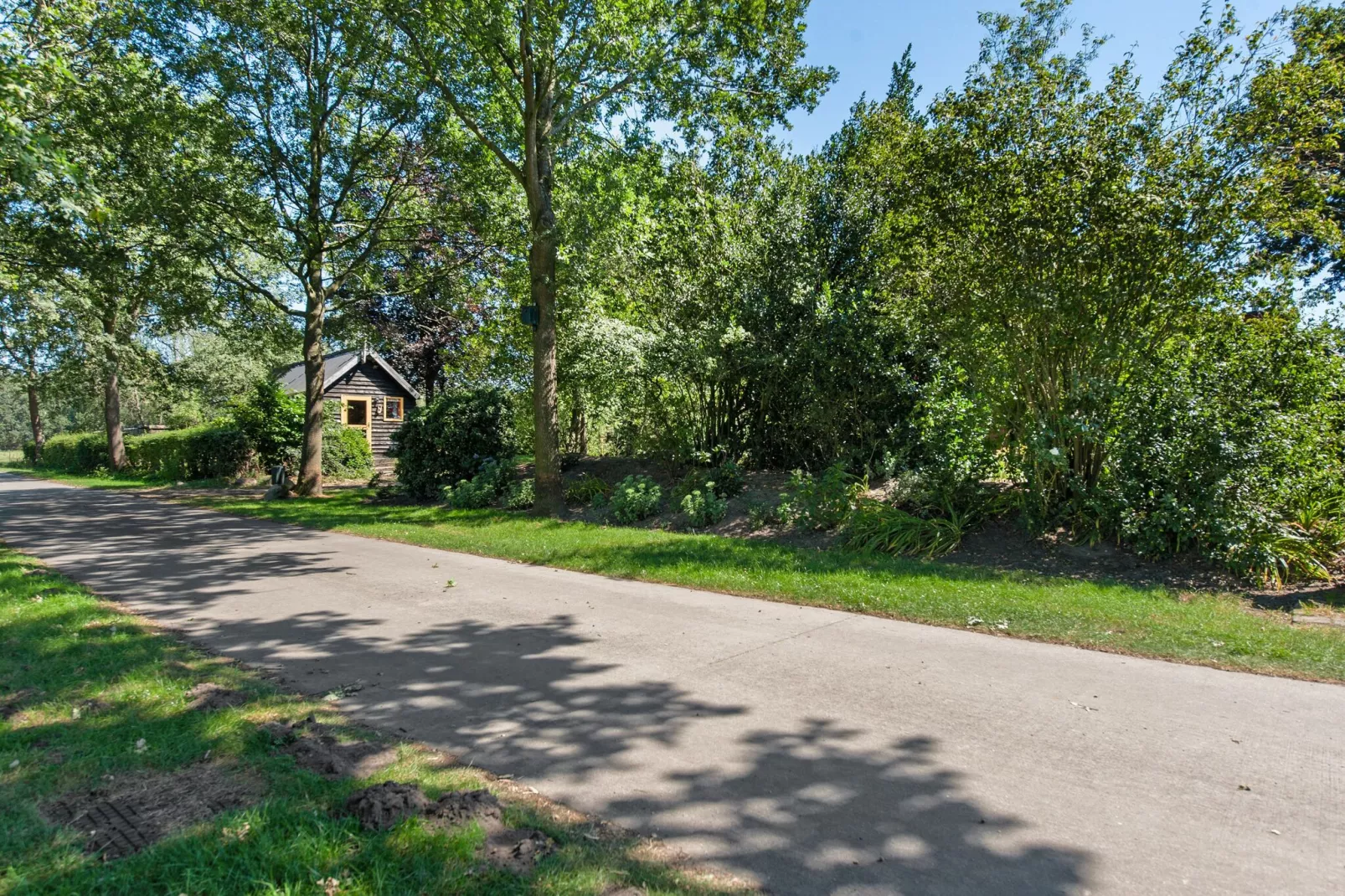 Muijsers-Gebieden zomer 1km