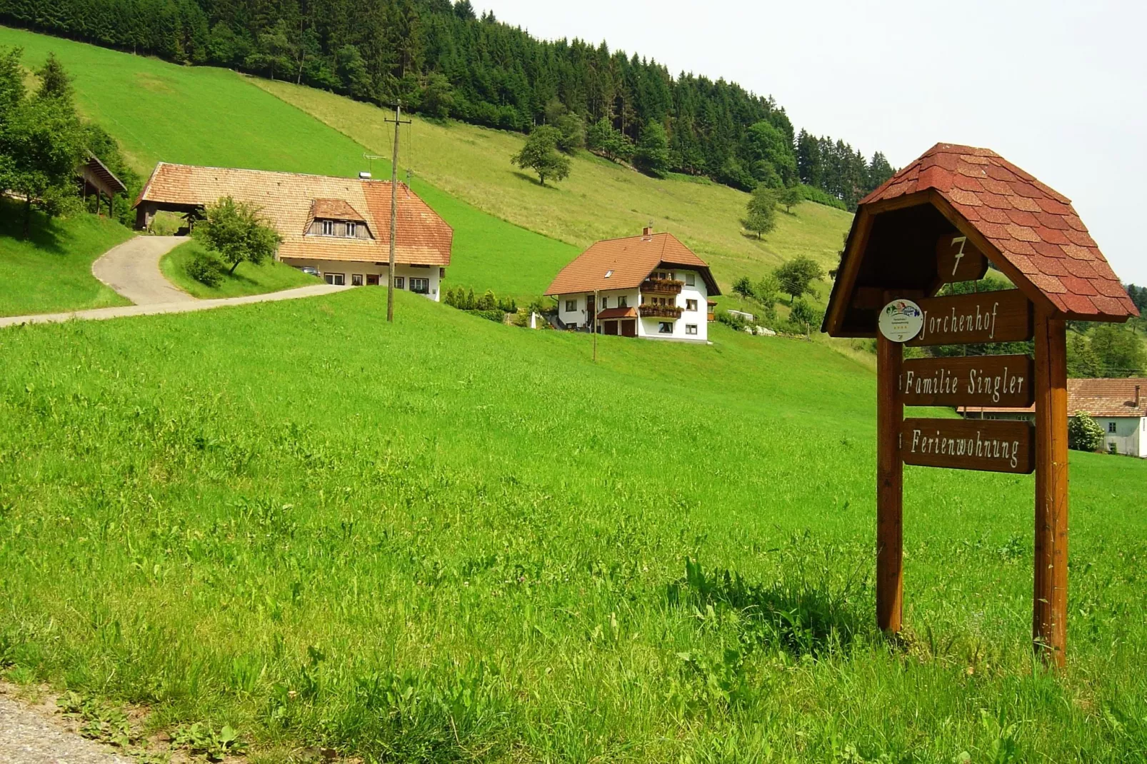 Salmensbach-Gebieden zomer 1km