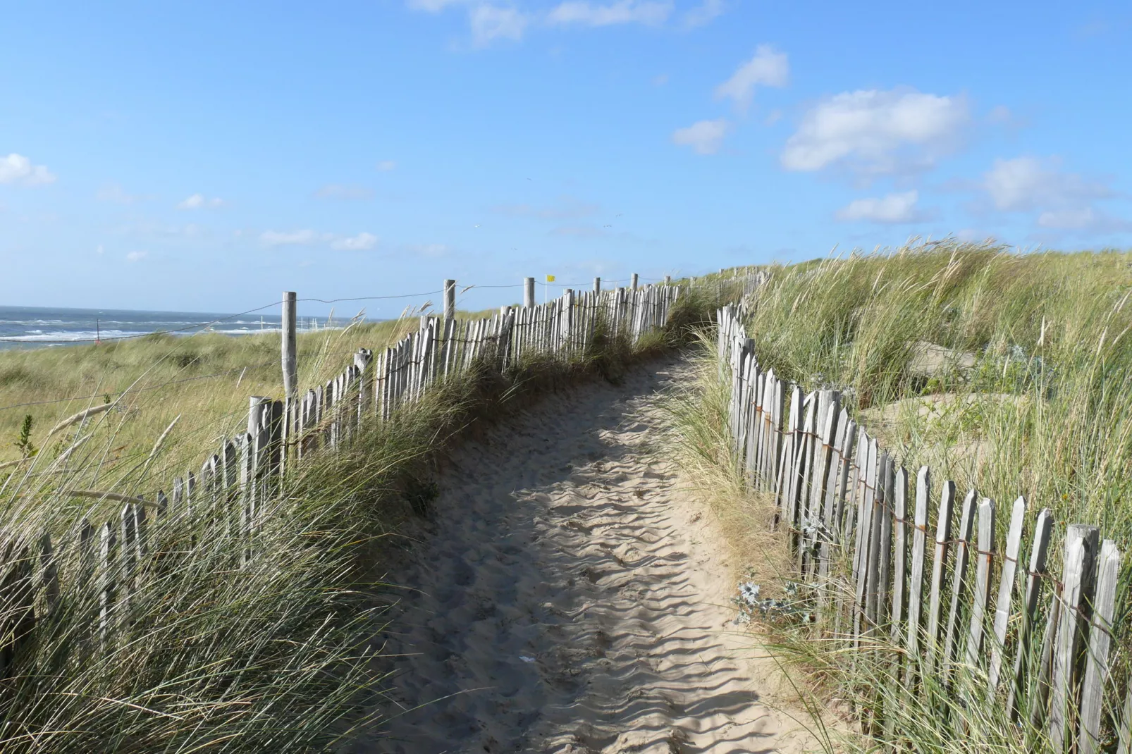 De ZeeParel Sea Life-Gebieden zomer 1km