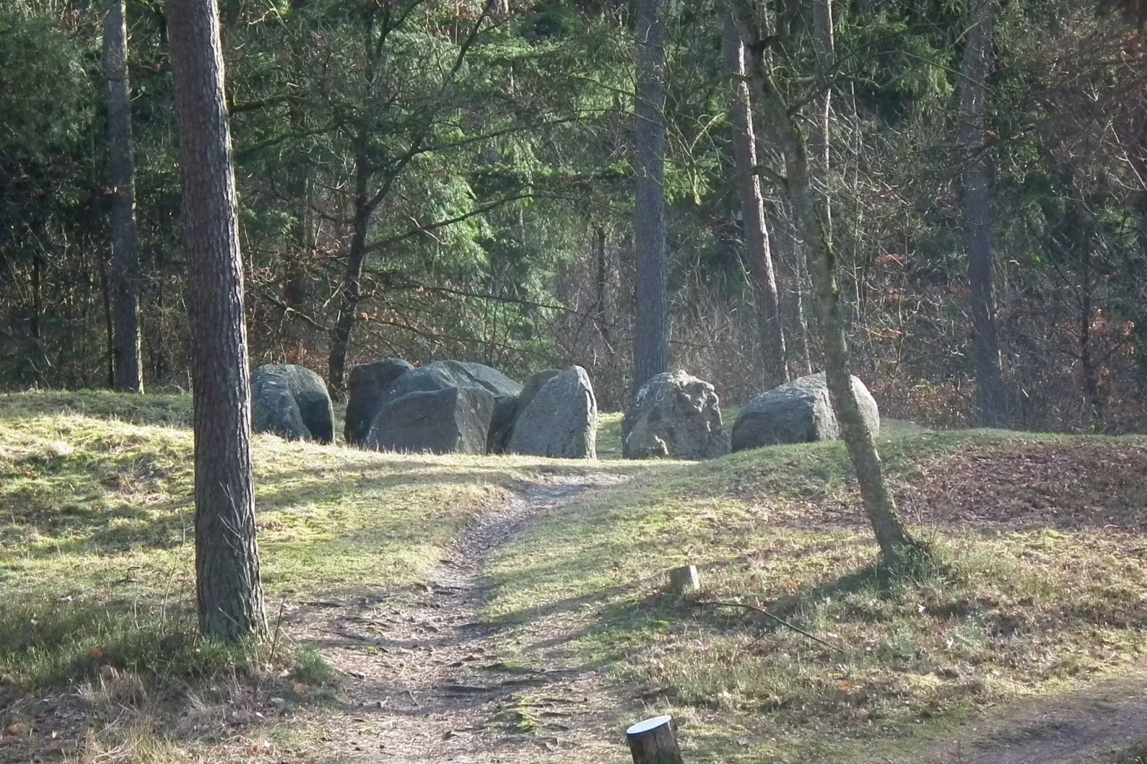 Zonnehoek-Gebieden zomer 1km