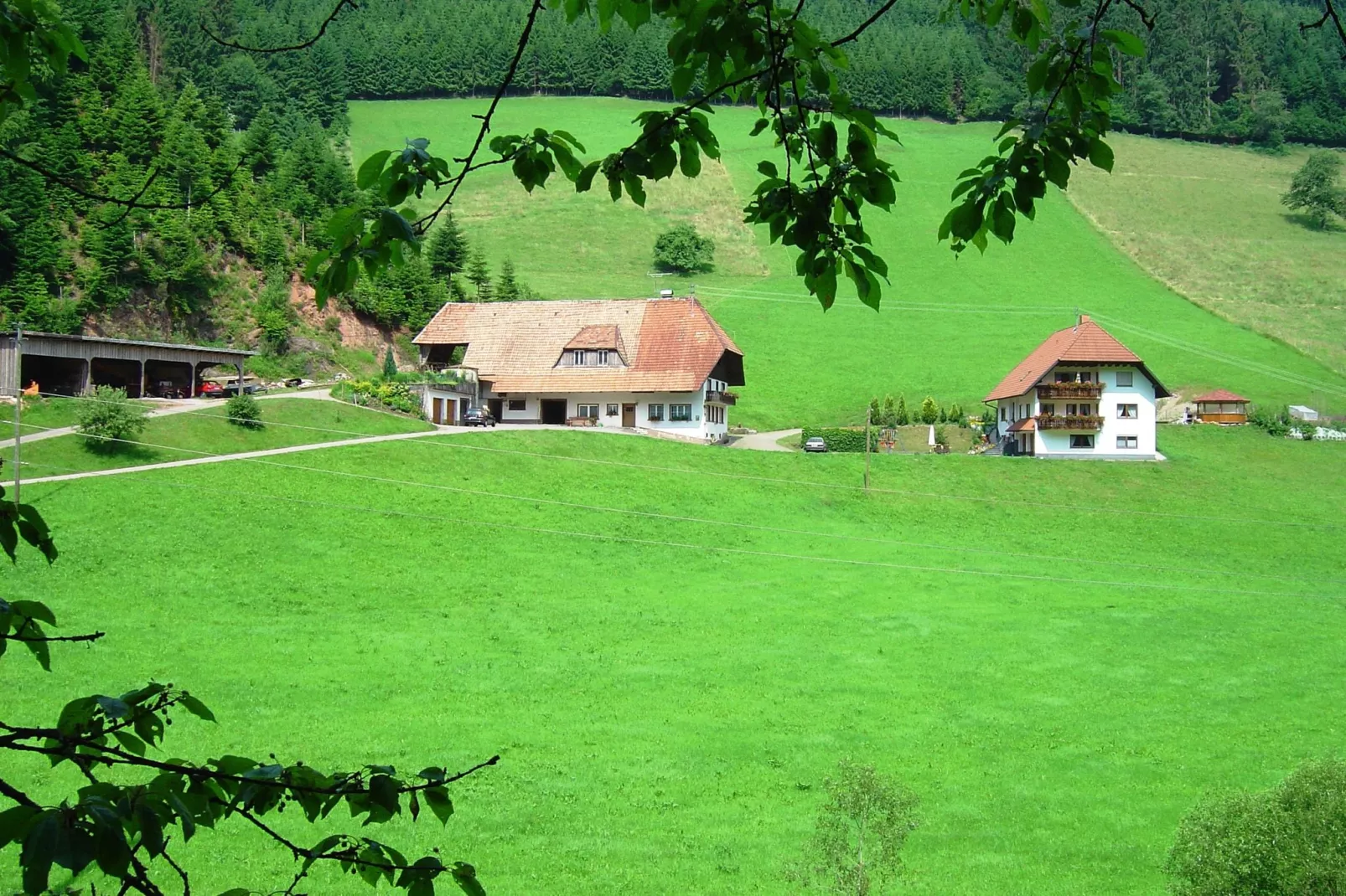 Salmensbach-Buitenkant zomer