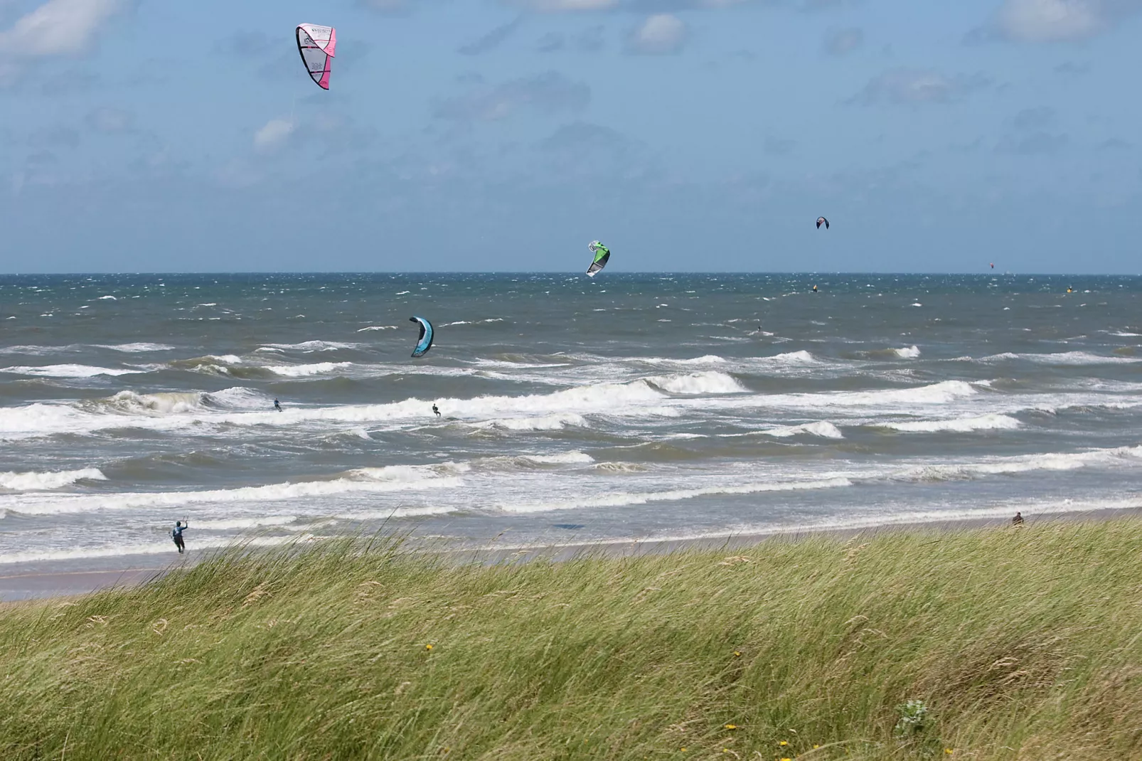 Kustpark Egmond aan Zee 4-Gebieden zomer 1km