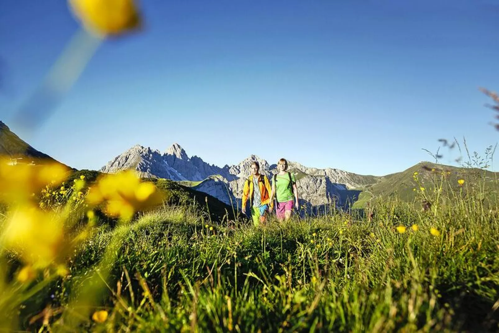 Ferienwohnung Auer-Uitzicht zomer