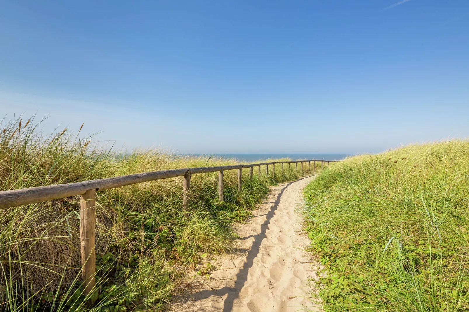 Kustpark Egmond aan Zee 4-Gebieden zomer 1km