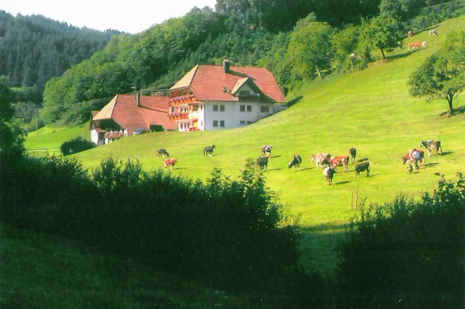 Am Stulzenhof-Buitenkant zomer