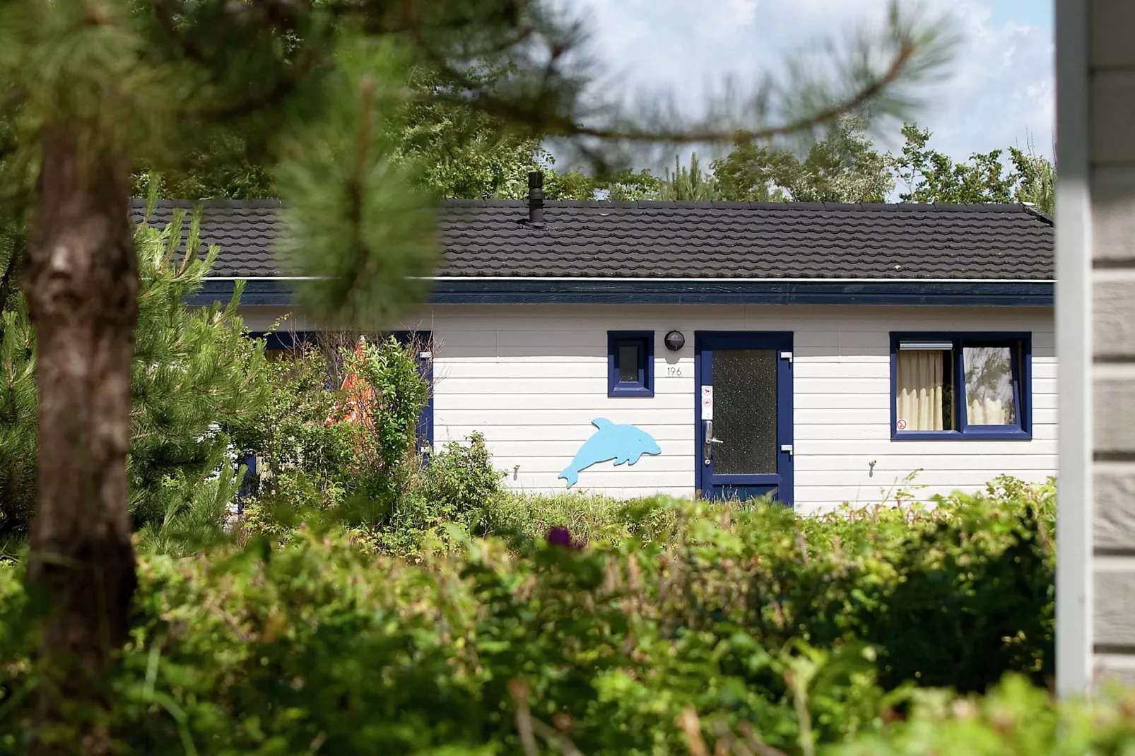 Kustpark Egmond aan Zee 1-Buitenkant zomer