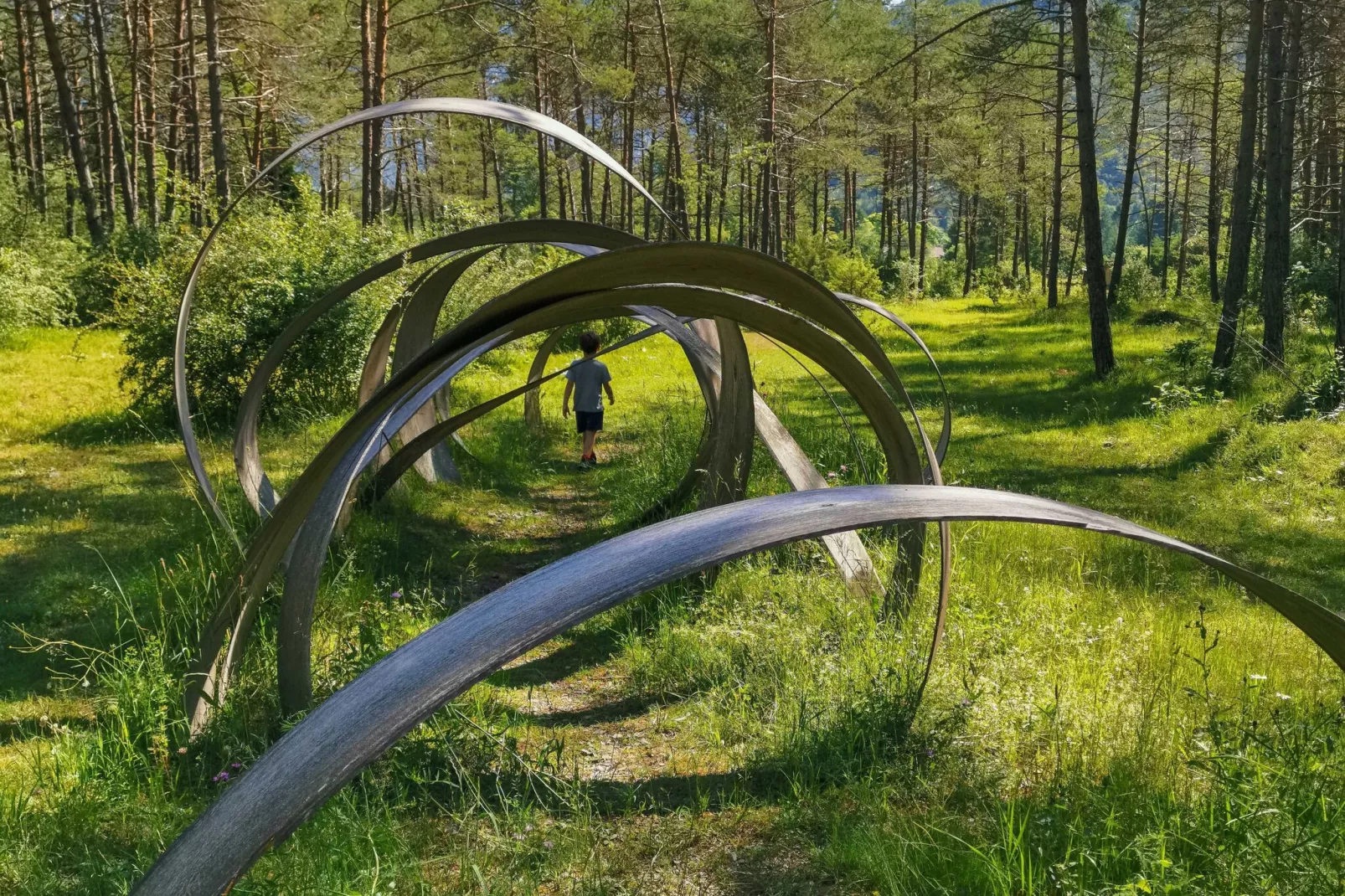 Gezellig vakantiehuis bij het Ledromeer met een grote tuin-Gebieden zomer 20km