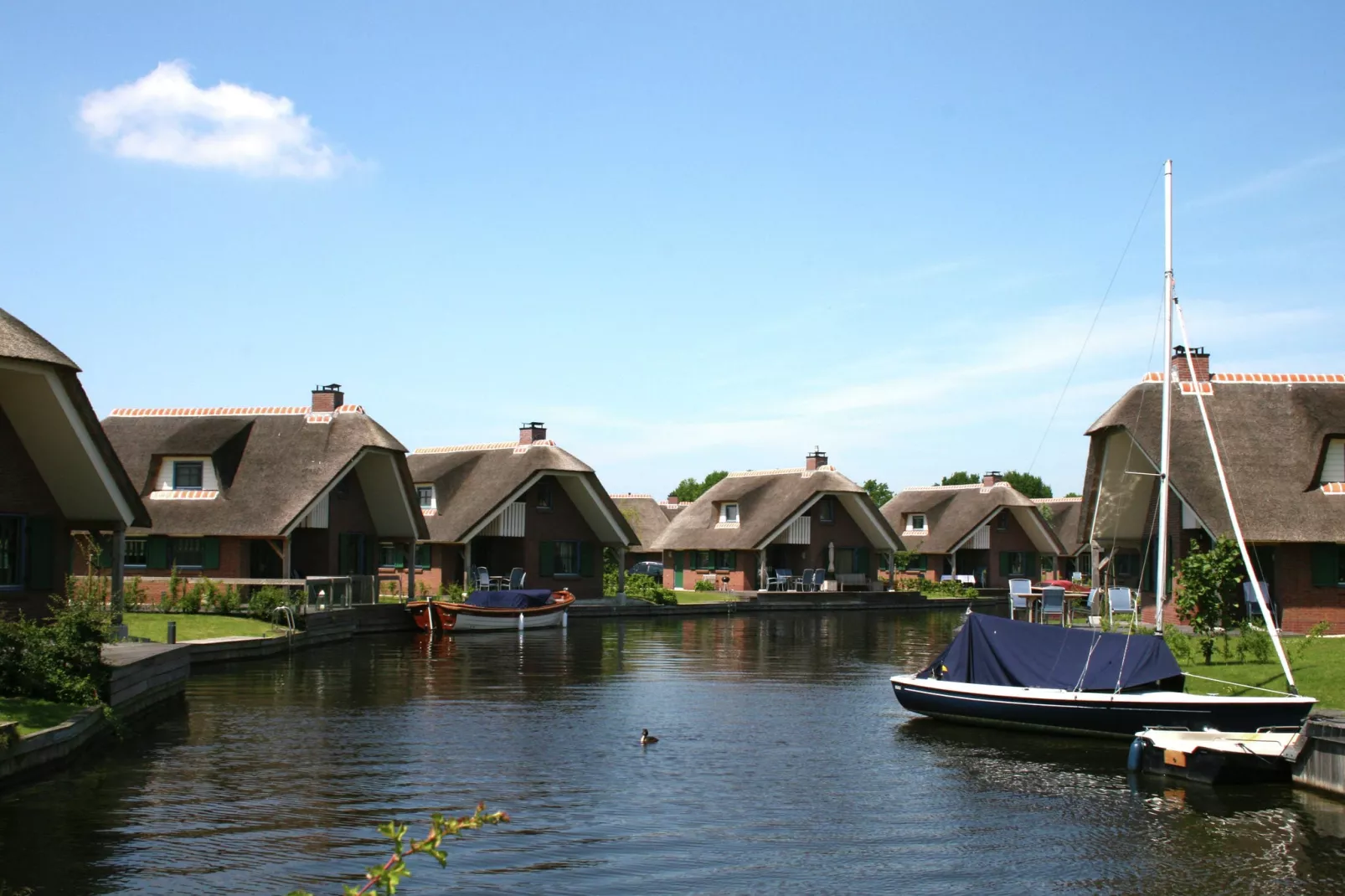 Waterpark Belterwiede 4-Gebieden zomer 1km