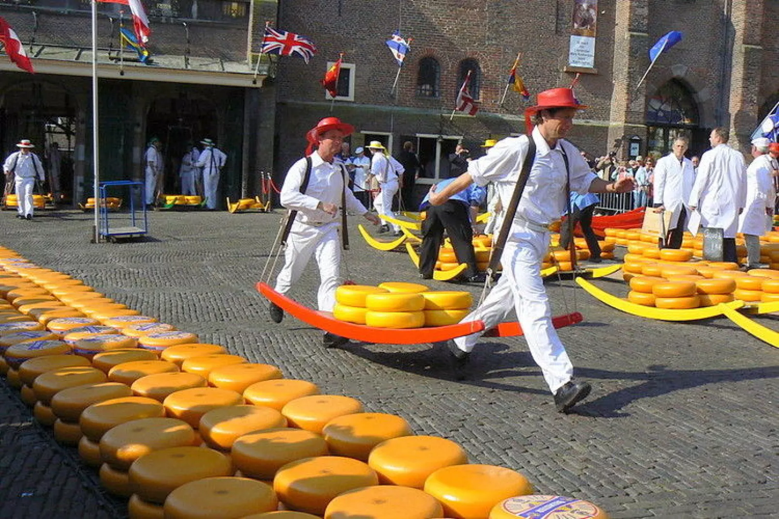 De ZeeParel Sea Crab-Gebieden zomer 20km