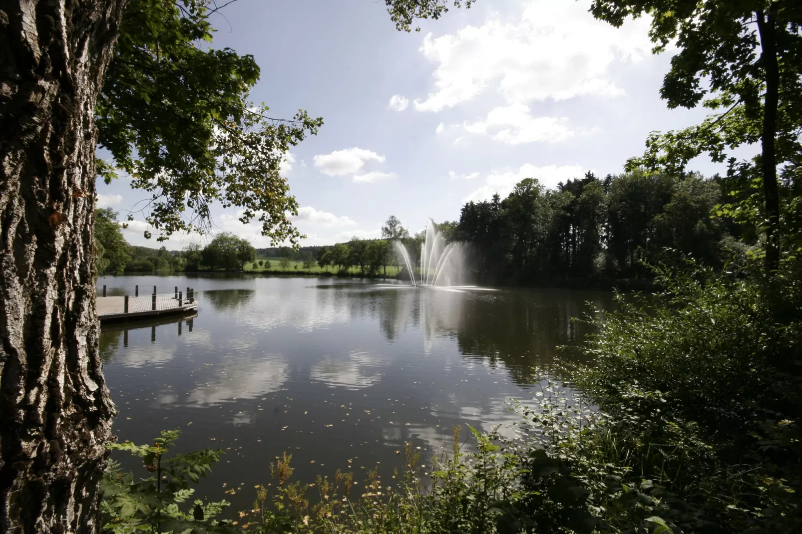 Apartmenthaus SportCHALET-Gebieden zomer 5km