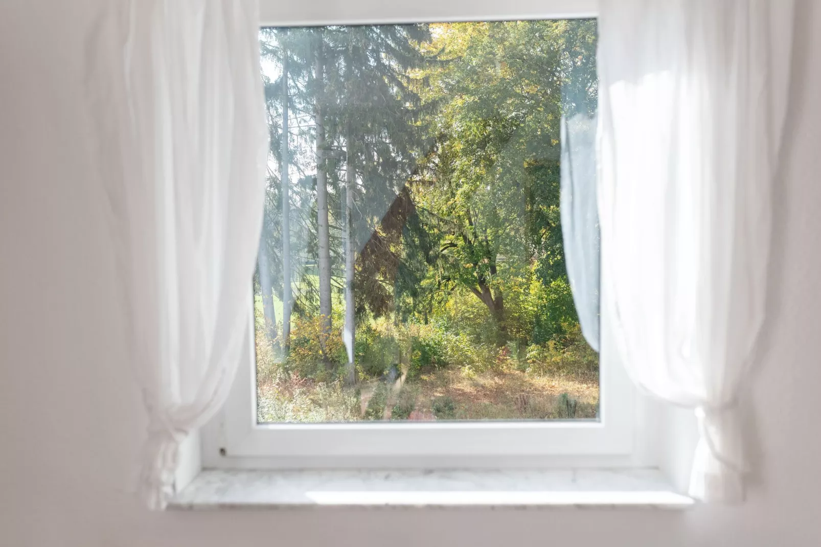 Park Blick-Uitzicht zomer