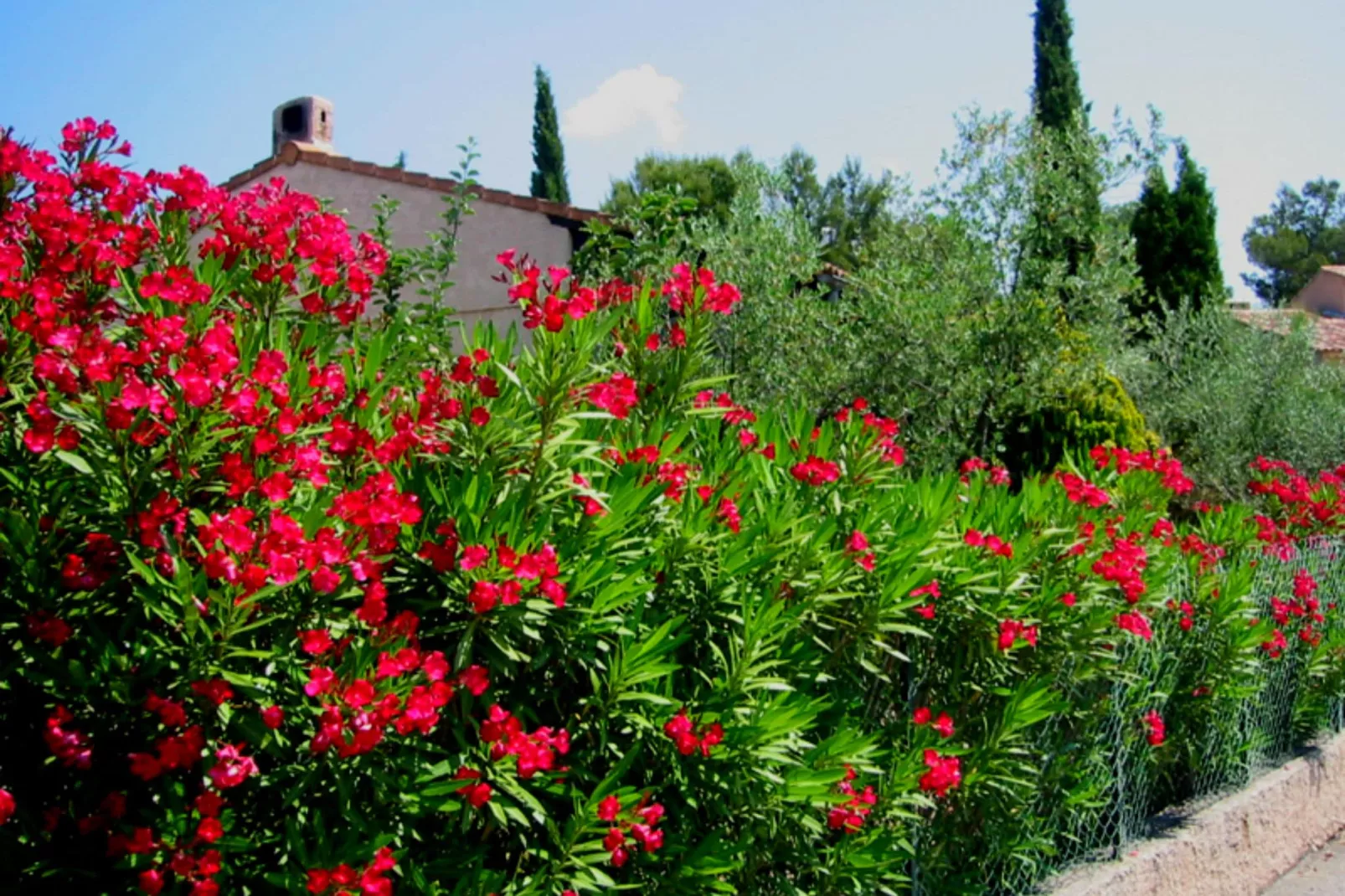 Villa Cigalières-Sfeer