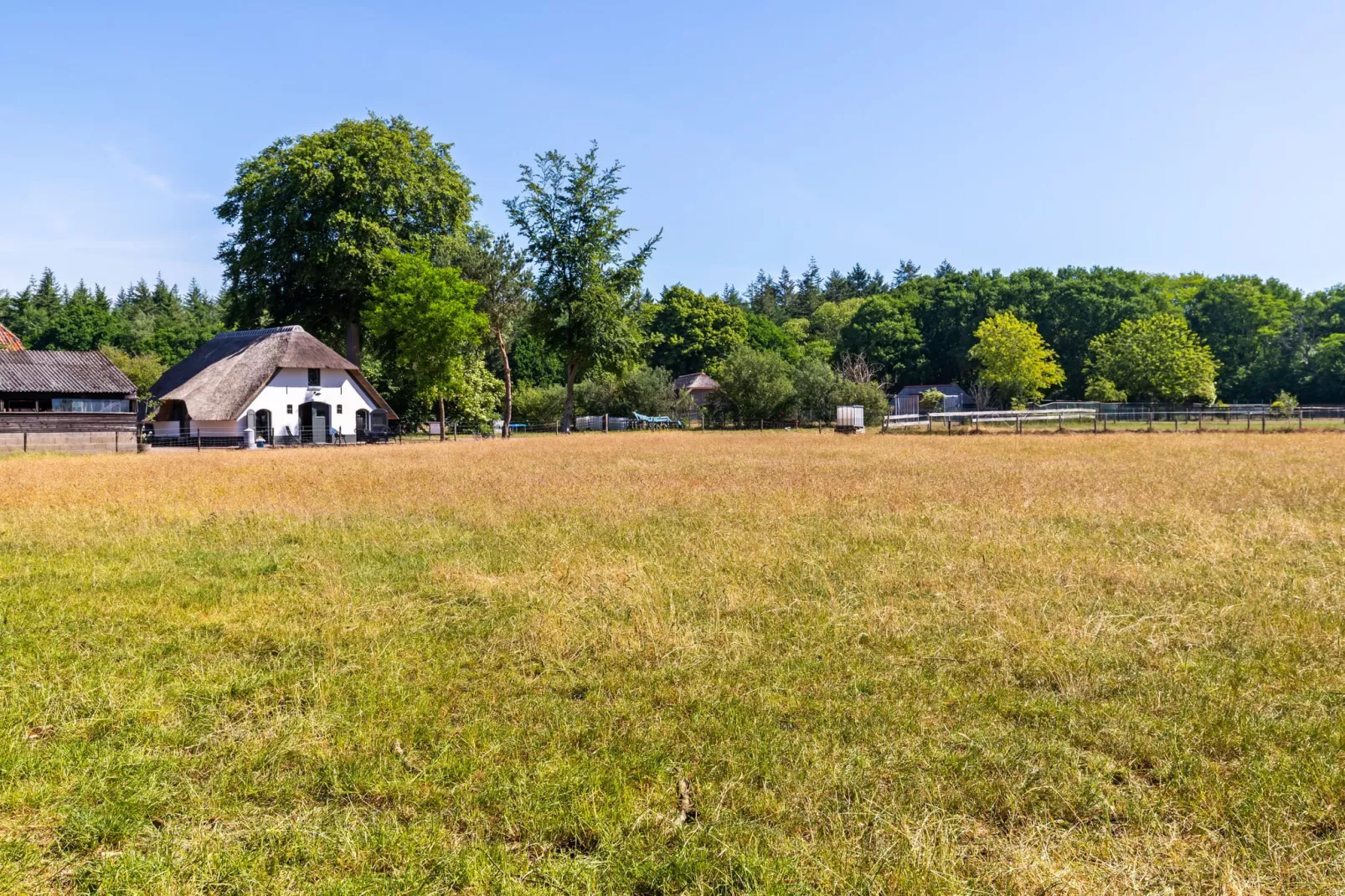 Pinksterbloem-Gebieden zomer 5km