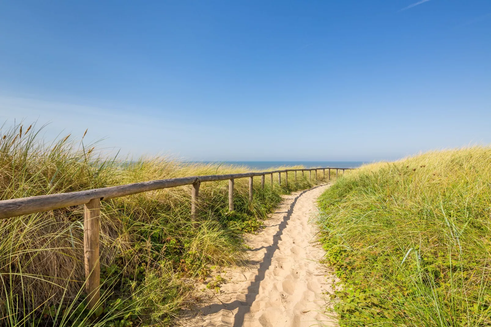 Residentie de Graaf van Egmont 9-Gebieden zomer 1km