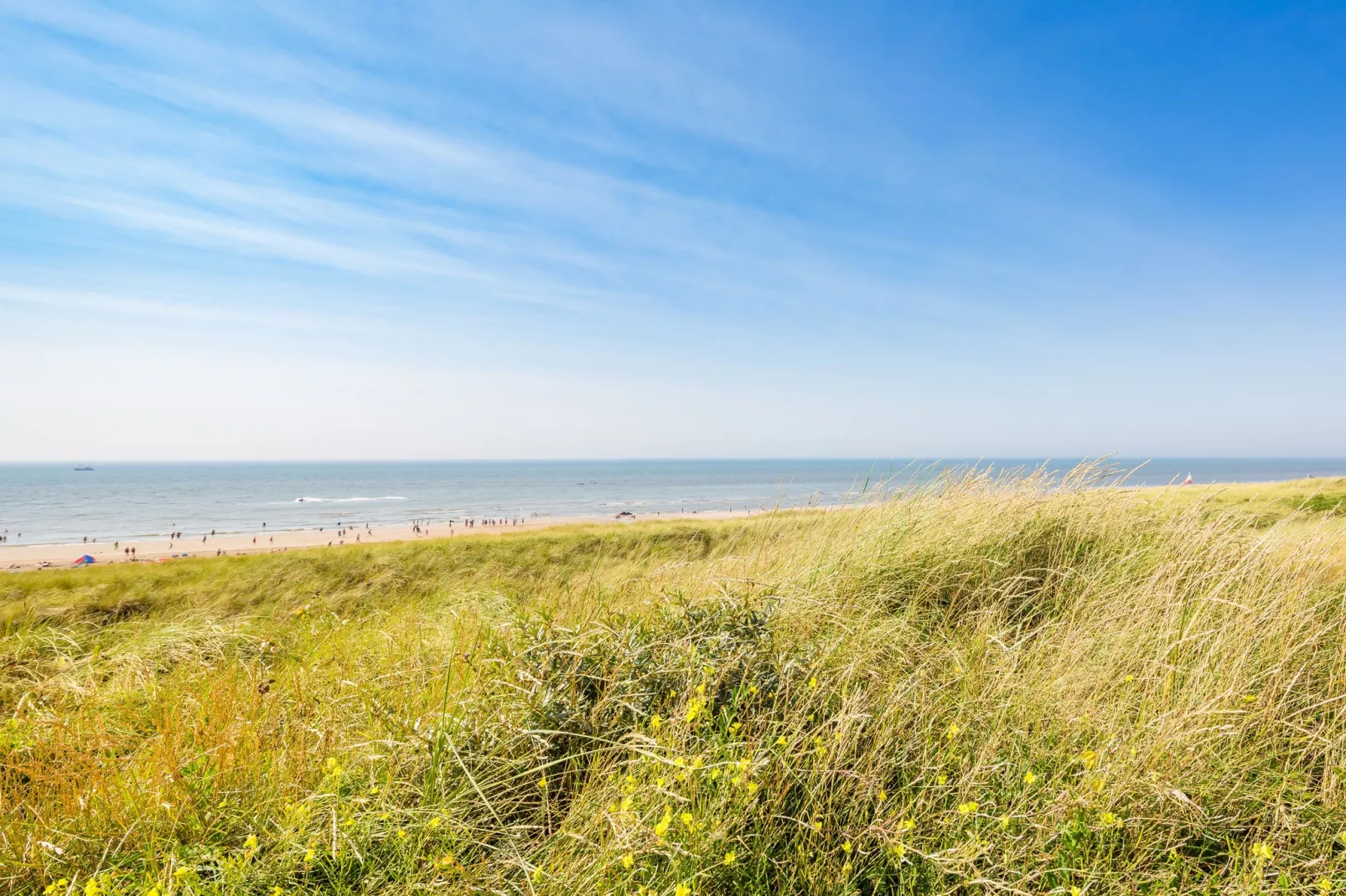 Residentie de Graaf van Egmont 9-Gebieden zomer 1km