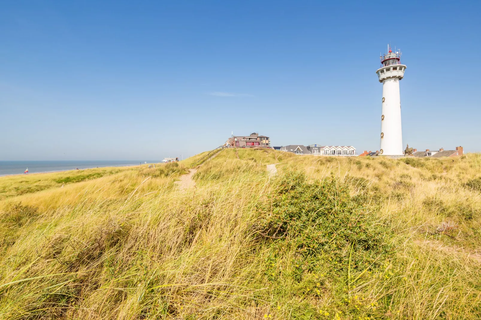 Residentie de Graaf van Egmont 9-Gebieden zomer 1km