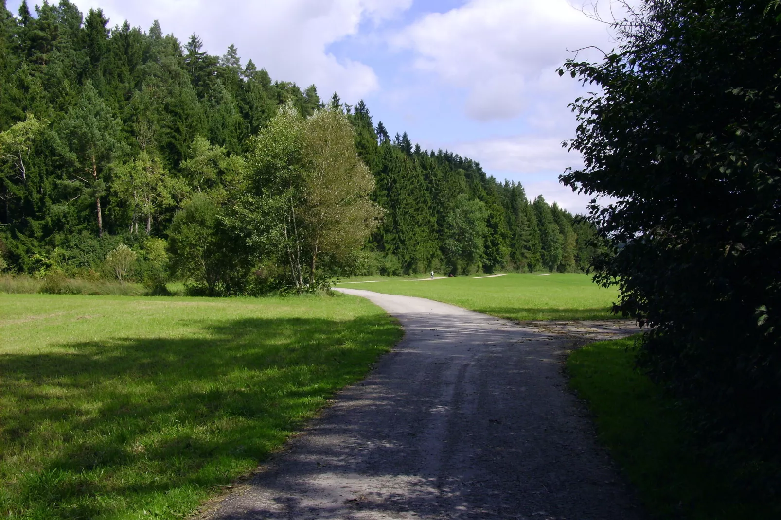 Niedereschach-Gebieden zomer 5km