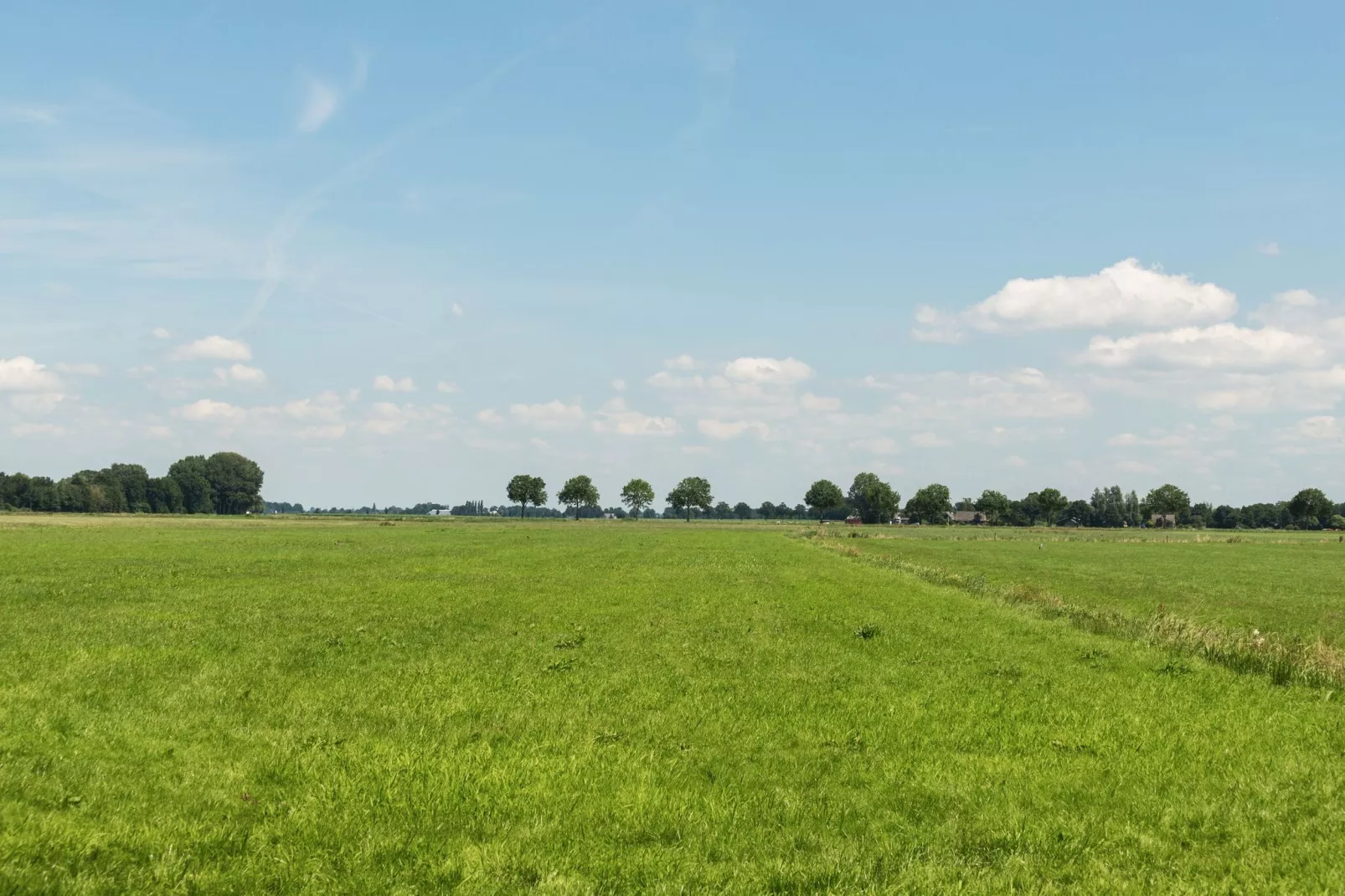 Chalet Veluwemeer-Gebieden zomer 1km