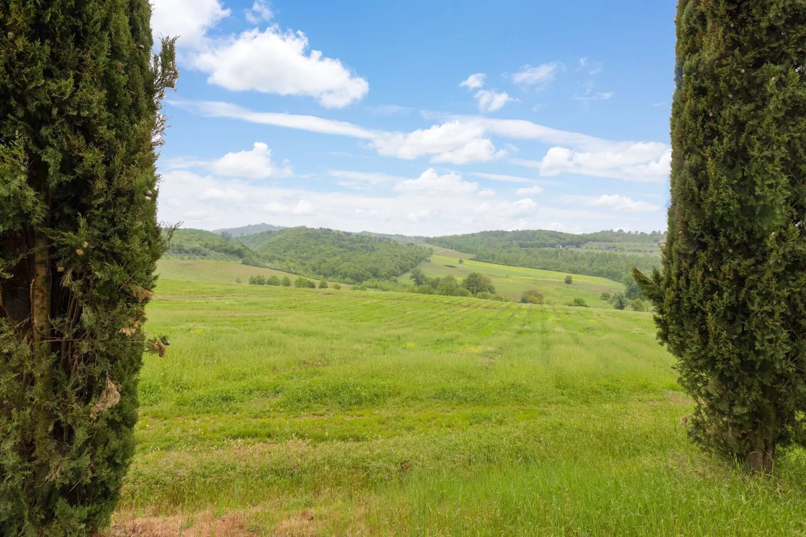 Il Querceto Prima-Gebieden zomer 5km